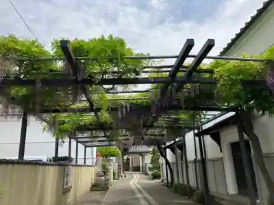 善光寺大本願(長野県)