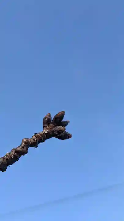 地蔵寺(愛知県)