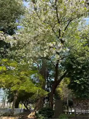 深見神社(神奈川県)