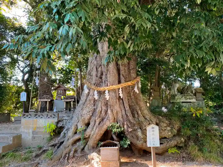 揖夜神社の自然