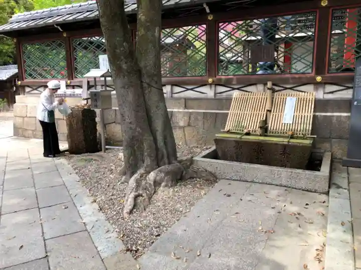 御香宮神社の手水舎