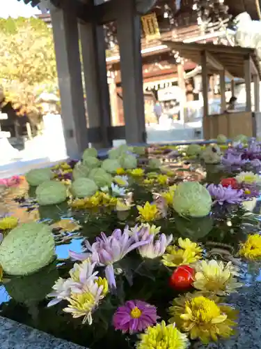 宮地嶽神社の手水舎