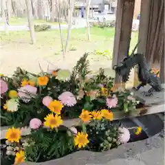 彌彦神社　(伊夜日子神社)(北海道)