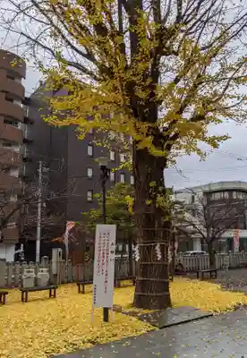 北海道神宮頓宮のその他建物