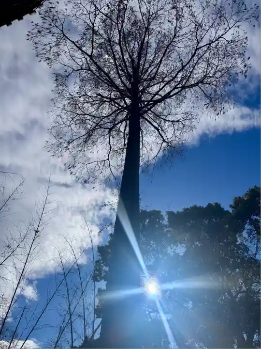 蛭子島神社(京都府)