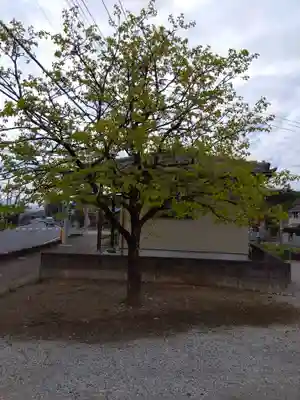 児泉神社(埼玉県)