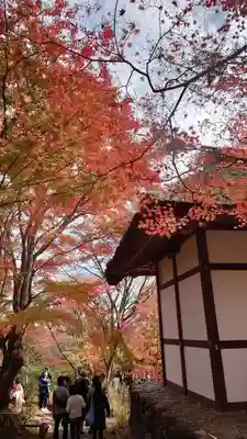 常寂光寺のその他建物