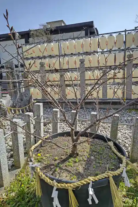 桑名宗社(春日神社)(三重県)