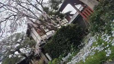 祐正寺(京都府)