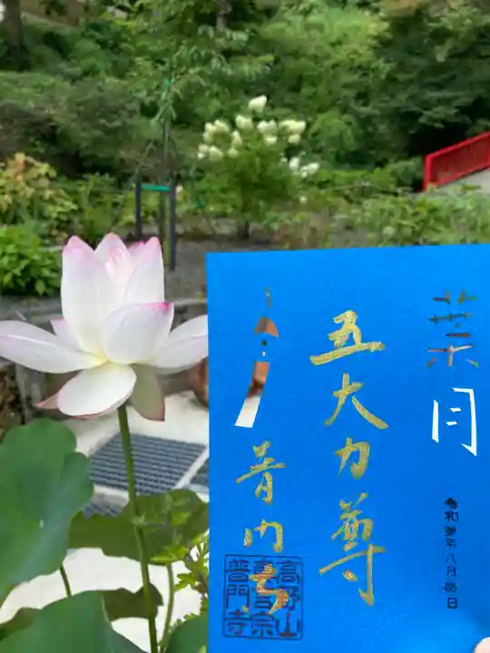 普門寺(切り絵御朱印発祥の寺)の御朱印