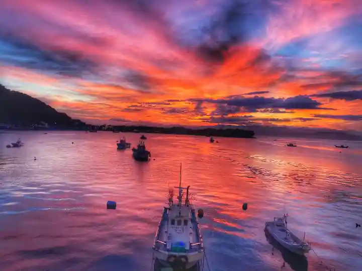 諸口神社の景色