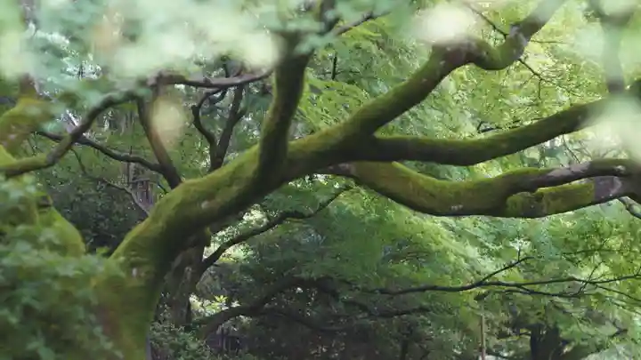 青蓮院門跡(京都府)