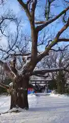 相馬神社(北海道)