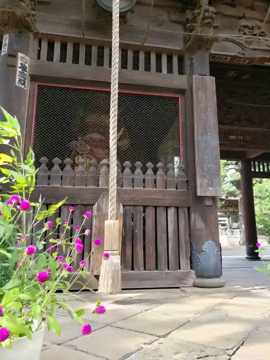 妙法寺(東京都)