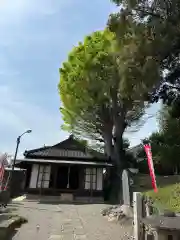 正一位霊験稲荷神社(栃木県)