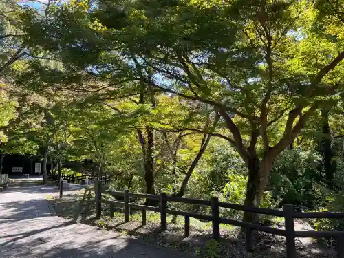 根来寺(和歌山県)