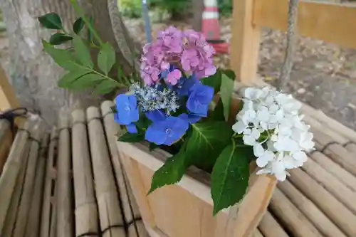 御殿山神社の自然