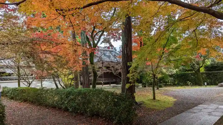 真正極楽寺(真如堂)(京都府)