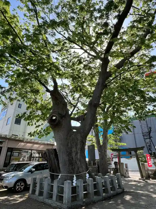 阿邪訶根神社(福島県)