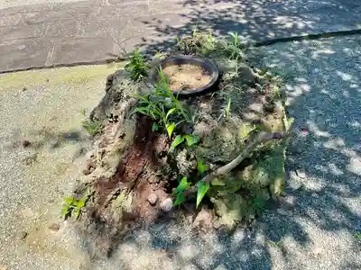 海蔵寺(神奈川県)