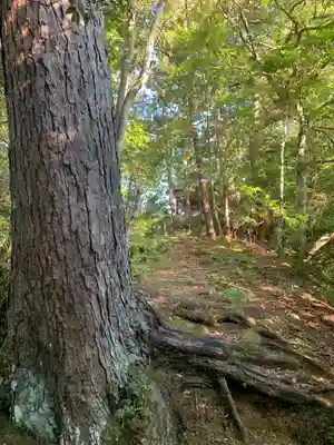 山神社の自然