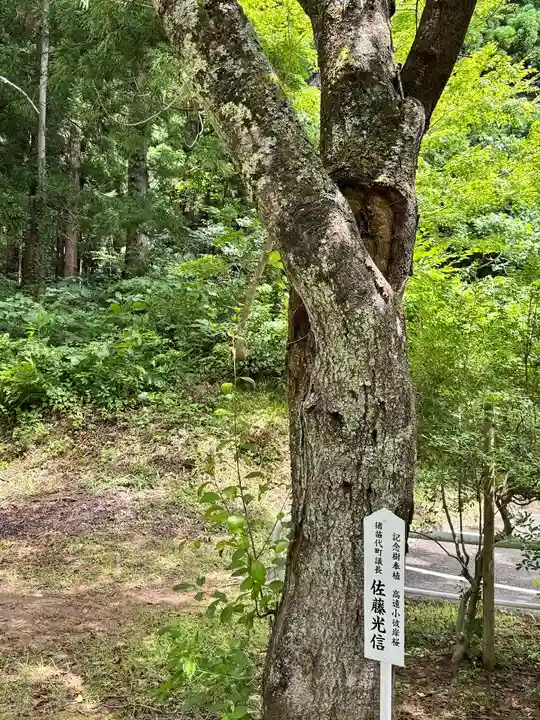 土津神社|こどもと出世の神さま(福島県)