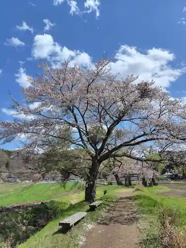鏡山湯泉神社(栃木県)