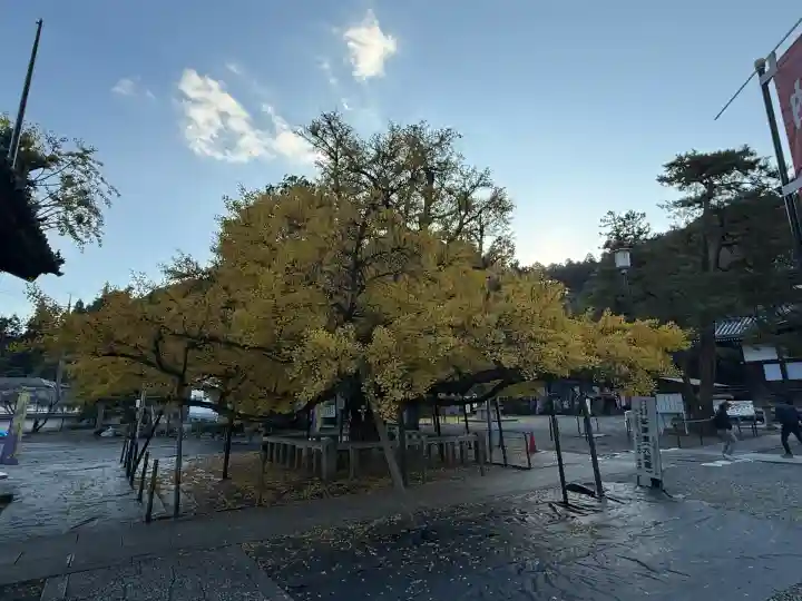 誕生寺(岡山県)