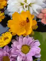 大鏑神社の手水舎