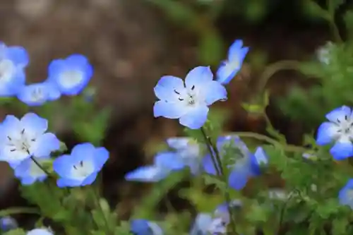 大鏑神社の庭園