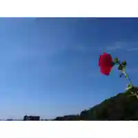 岐阜稲荷山本社(岐阜県)