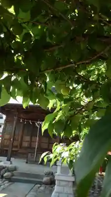 十二神社の本殿・本堂