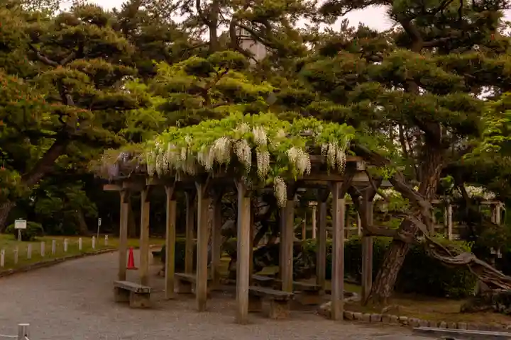 白山神社(新潟県)
