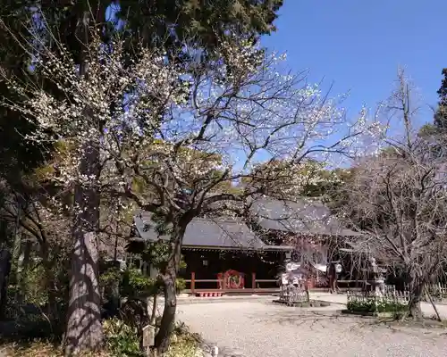 富部神社(愛知県)