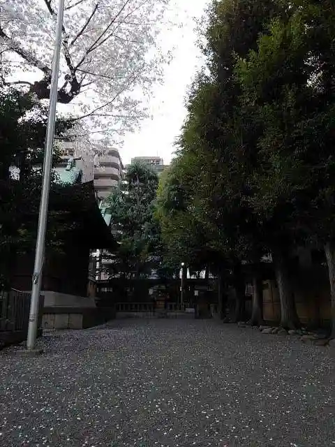 天祖神社の自然