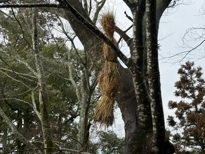 高木神社の{uncategorized: "未分類", other: "その他", undefined: "問題あり", building: "その他建物", grave: "お墓", sacred_gate: "鳥居", guardian: "狛犬", statue: "像", buddha: "仏像", history: "歴史", nature: "自然", garden: "庭園", animal: "動物", pagoda: "塔", temizu: "手水舎", mountain_gate: "山門・神門", sanctuary: "本殿・本堂", subordinate: "末社・摂社", art: "芸術", scenery: "景色", jizo: "地蔵", ema: "絵馬", goshuin: "御朱印", omikuji: "おみくじ", items: "授与品その他", amulet: "お守り", goshuincho: "御朱印帳", eats: "食事", festival: "お祭り", votive_dance: "神楽", shichigosan: "七五三参", wedding: "結婚式", experience: "体験その他", initially: "初詣", around: "周辺", anti_infection: "感染症対策"}