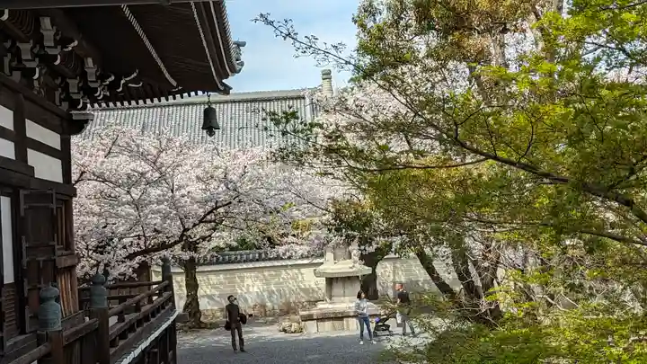 妙顯寺(妙顕寺)(京都府)