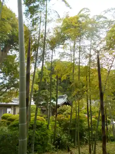 仏行寺（佛行寺）の庭園