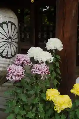 御霊神社（上御霊神社）(京都府)