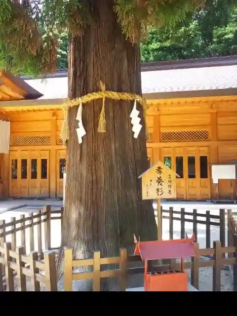 穂高神社本宮の{uncategorized: "未分類", other: "その他", undefined: "問題あり", building: "その他建物", grave: "お墓", sacred_gate: "鳥居", guardian: "狛犬", statue: "像", buddha: "仏像", history: "歴史", nature: "自然", garden: "庭園", animal: "動物", pagoda: "塔", temizu: "手水舎", mountain_gate: "山門・神門", sanctuary: "本殿・本堂", subordinate: "末社・摂社", art: "芸術", scenery: "景色", jizo: "地蔵", ema: "絵馬", goshuin: "御朱印", omikuji: "おみくじ", items: "授与品その他", amulet: "お守り", goshuincho: "御朱印帳", eats: "食事", festival: "お祭り", votive_dance: "神楽", shichigosan: "七五三参", wedding: "結婚式", experience: "体験その他", initially: "初詣", around: "周辺", anti_infection: "感染症対策"}