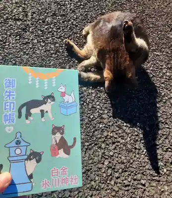 白金氷川神社(東京都)
