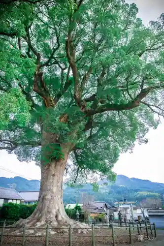 津江神社(福岡県)