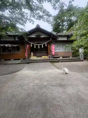 真野寺(千葉県)