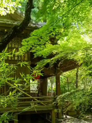四合稲荷神社の{uncategorized: "未分類", other: "その他", undefined: "問題あり", building: "その他建物", grave: "お墓", sacred_gate: "鳥居", guardian: "狛犬", statue: "像", buddha: "仏像", history: "歴史", nature: "自然", garden: "庭園", animal: "動物", pagoda: "塔", temizu: "手水舎", mountain_gate: "山門・神門", sanctuary: "本殿・本堂", subordinate: "末社・摂社", art: "芸術", scenery: "景色", jizo: "地蔵", ema: "絵馬", goshuin: "御朱印", omikuji: "おみくじ", items: "授与品その他", amulet: "お守り", goshuincho: "御朱印帳", eats: "食事", festival: "お祭り", votive_dance: "神楽", shichigosan: "七五三参", wedding: "結婚式", experience: "体験その他", initially: "初詣", around: "周辺", anti_infection: "感染症対策"}