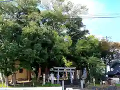 八幡神社の鳥居