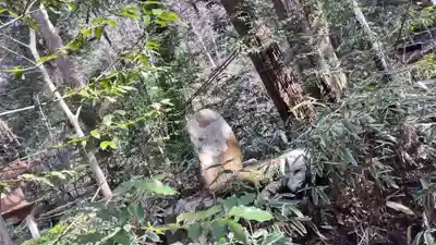 貴船神社結社(京都府)