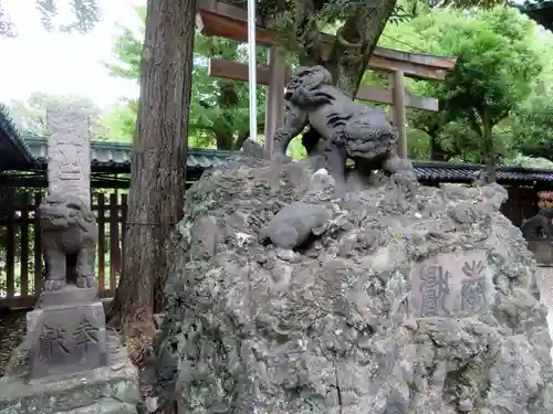 牛嶋神社の狛犬