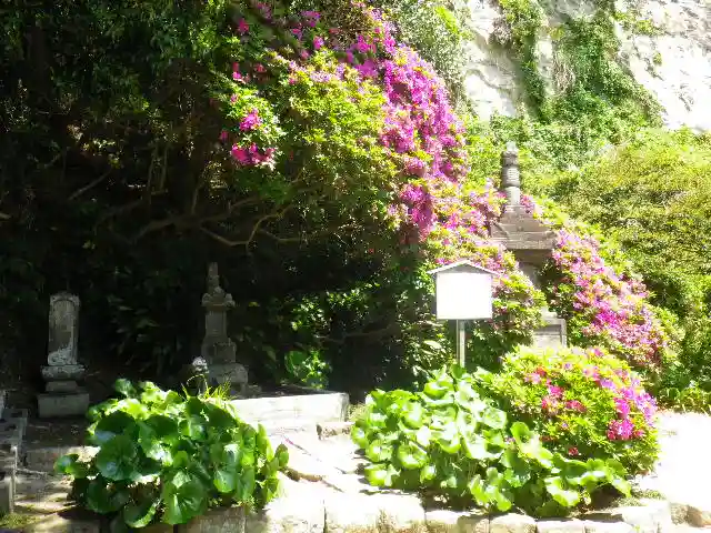 安養院 (田代寺)のお墓