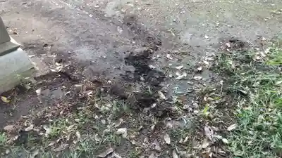 酒門神社(茨城県)