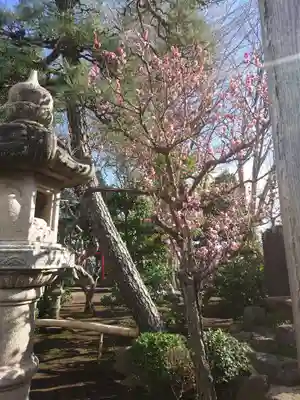 長松寺(神奈川県)